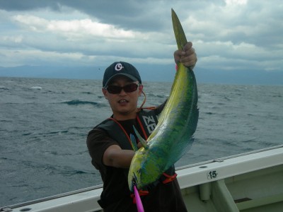 プロショップオオツカ ソルトウォーター部門 ブログ写真 2009/06/27