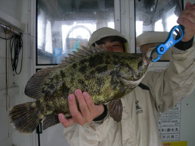 プロショップオオツカ ソルトウォーター部門 ブログ写真 2009/07/30