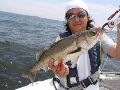 プロショップオオツカ ソルトウォーター部門 ブログ写真 2009/08/02