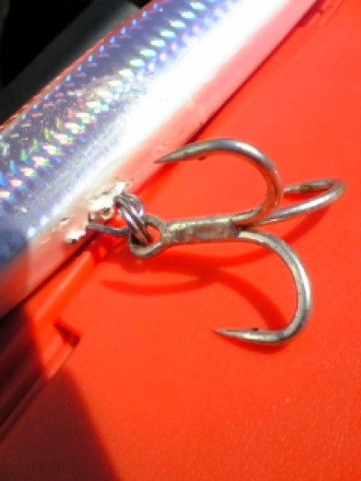 プロショップオオツカ ソルトウォーター部門 ブログ写真 2009/08/27