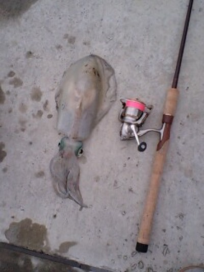 プロショップオオツカ ソルトウォーター部門 ブログ写真 2009/09/23