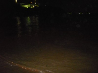 プロショップオオツカ ソルトウォーター部門 ネット通信販売 ブログ写真 2010/08/05