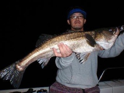 プロショップオオツカ ソルトウォーター部門 ネット通信販売 ブログ写真 2010/10/06