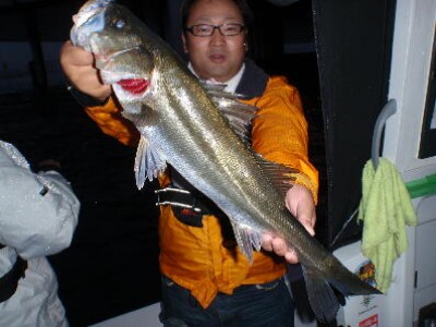 プロショップオオツカ ソルトウォーター部門 ネット通信販売 ブログ写真 2010/10/13