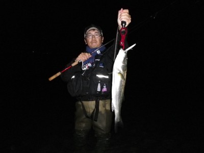 プロショップオオツカ ソルトウォーター部門 ネット通信販売 ブログ写真 2010/10/24