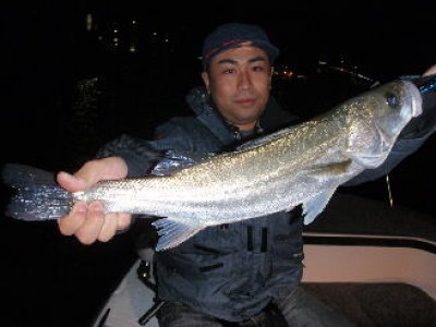 プロショップオオツカ ソルトウォーター部門 ネット通信販売 ブログ写真 2010/11/04