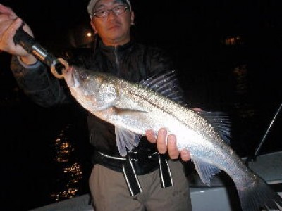 プロショップオオツカ ソルトウォーター部門 ネット通信販売 ブログ写真 2010/11/04