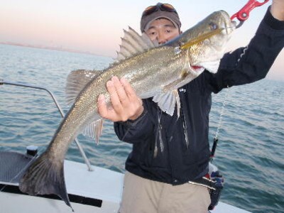 プロショップオオツカ ソルトウォーター部門 ネット通信販売 ブログ写真 2010/11/06