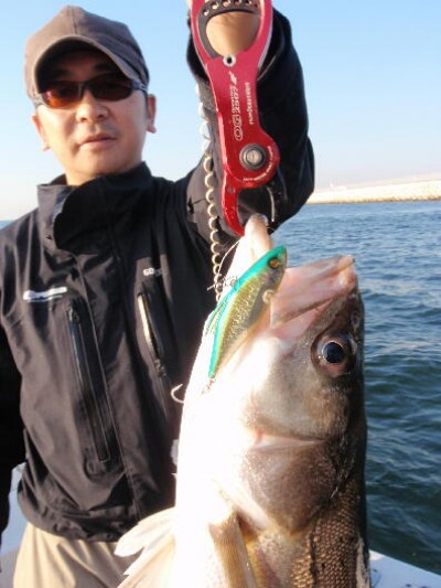 プロショップオオツカ ソルトウォーター部門 ネット通信販売 ブログ写真 2010/11/06