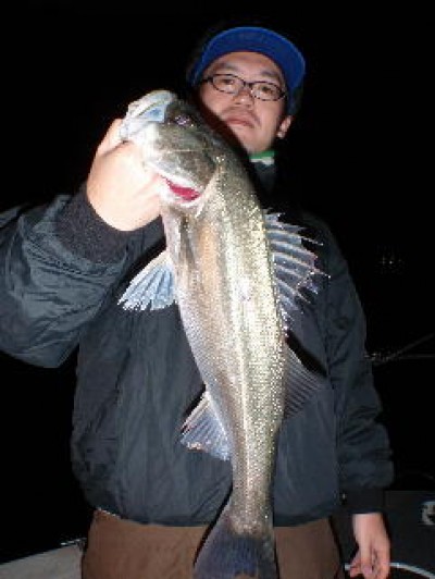 プロショップオオツカ ソルトウォーター部門 ネット通信販売 ブログ写真 2010/11/10