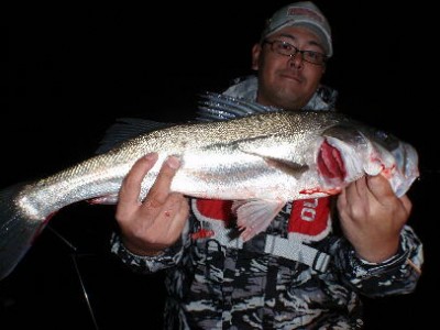 プロショップオオツカ ソルトウォーター部門 ネット通信販売 ブログ写真 2010/11/10