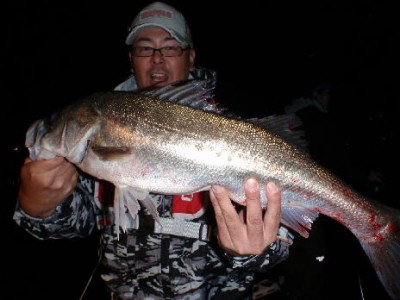 プロショップオオツカ ソルトウォーター部門 ネット通信販売 ブログ写真 2010/11/10