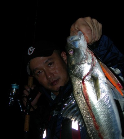 プロショップオオツカ ソルトウォーター部門 ネット通信販売 ブログ写真 2010/11/10