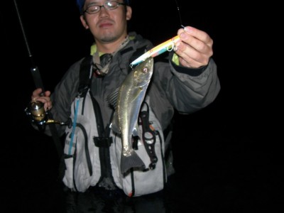 プロショップオオツカ ソルトウォーター部門 ネット通信販売 ブログ写真 2010/11/10