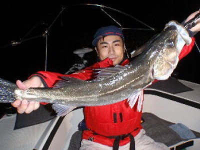 プロショップオオツカ ソルトウォーター部門 ネット通信販売 ブログ写真 2010/11/27