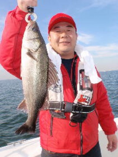 プロショップオオツカ ソルトウォーター部門 ネット通信販売 ブログ写真 2010/12/01