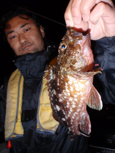 プロショップオオツカ ソルトウォーター部門 ネット通信販売 ブログ写真 2010/12/12