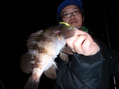 プロショップオオツカ ソルトウォーター部門 ネット通信販売 ブログ写真 2010/12/12