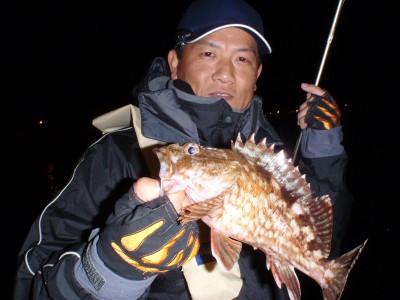 プロショップオオツカ ソルトウォーター部門 ネット通信販売 ブログ写真 2010/12/12