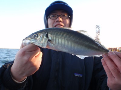 プロショップオオツカ ソルトウォーター部門 ネット通信販売 ブログ写真 2010/12/12