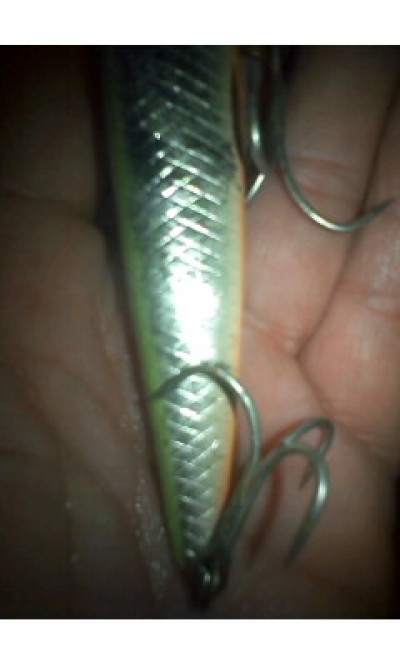 プロショップオオツカ ソルトウォーター部門 ネット通信販売 ブログ写真 2010/12/13