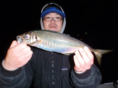 プロショップオオツカ ソルトウォーター部門 ネット通信販売 ブログ写真 2010/12/17