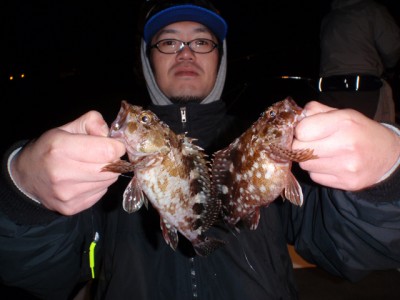 プロショップオオツカ ソルトウォーター部門 ネット通信販売 ブログ写真 2010/12/17