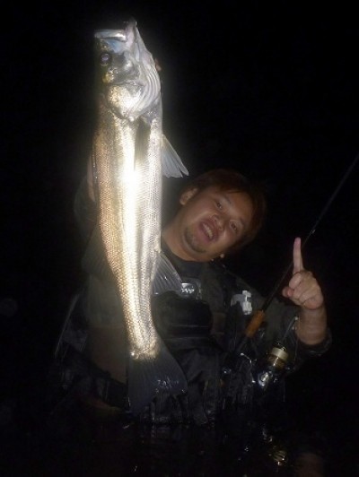 プロショップオオツカ ソルトウォーター部門 ネット通信販売 ブログ写真 2011/07/28