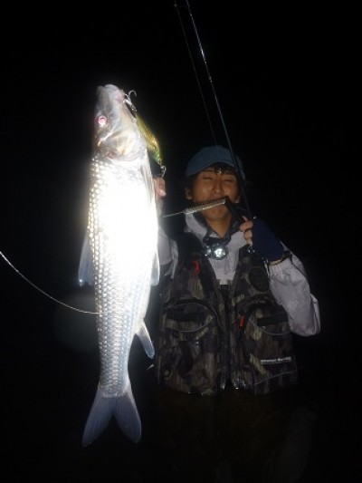 プロショップオオツカ ソルトウォーター部門 ネット通信販売 ブログ写真 2011/07/28