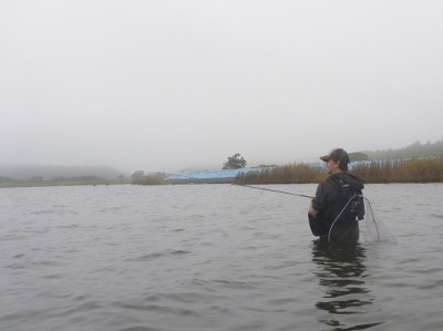 プロショップオオツカ ソルトウォーター部門 ネット通信販売 ブログ写真 2011/08/05