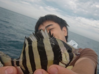 プロショップオオツカ ソルトウォーター部門 ネット通信販売 ブログ写真 2011/09/15