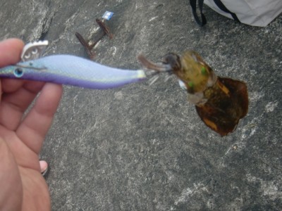 プロショップオオツカ ソルトウォーター部門 ネット通信販売 ブログ写真 2011/09/15