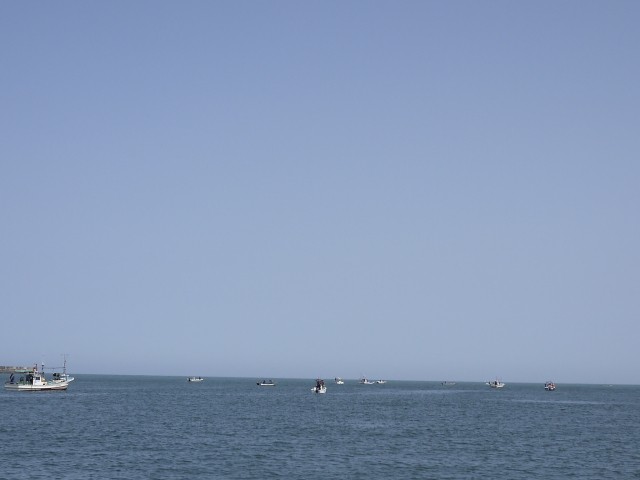 プロショップオオツカ ソルトウォーター部門 ネット通信販売 ブログ写真 2013/04/17