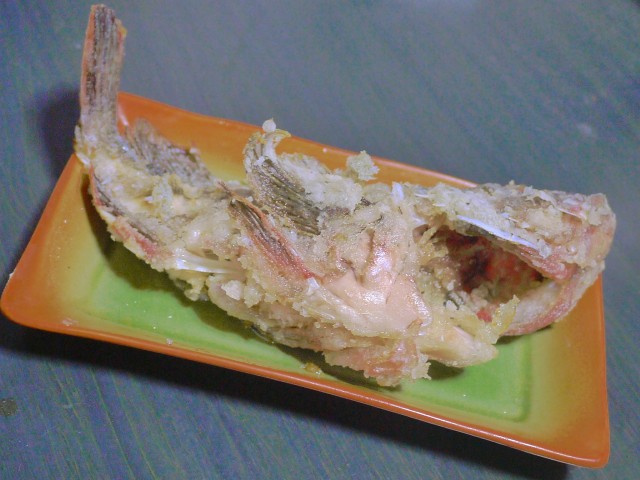 プロショップオオツカ ソルトウォーター部門 ネット通信販売 ブログ写真 2013/05/16