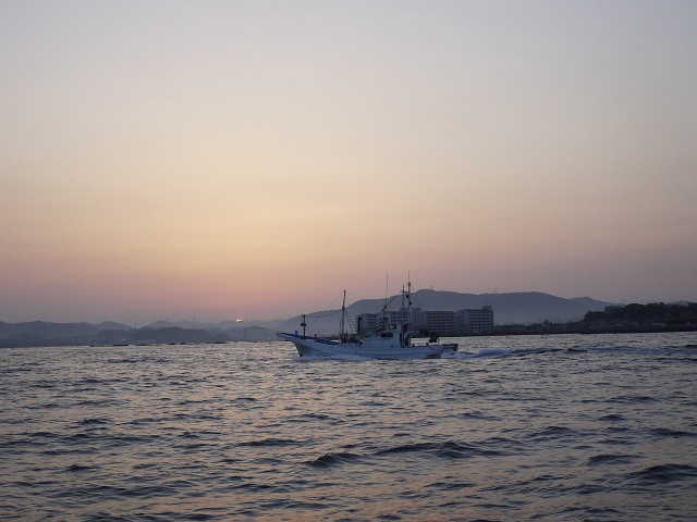 プロショップオオツカ ソルトウォーター部門 ネット通信販売 ブログ写真 2013/06/05