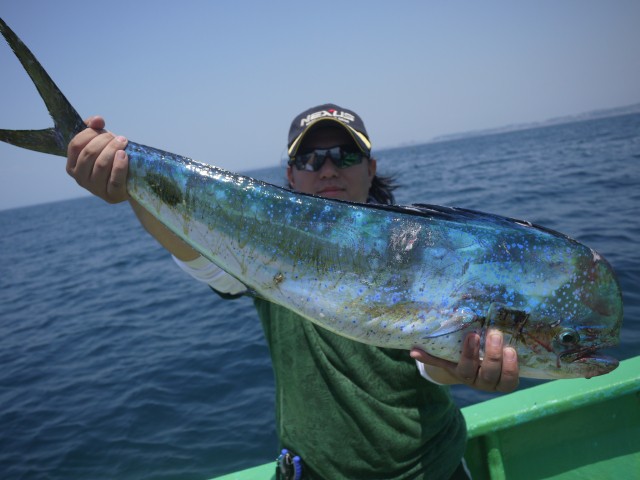 プロショップオオツカ ソルトウォーター部門 ネット通信販売 ブログ写真 2013/06/05