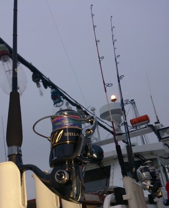 プロショップオオツカ ソルトウォーター部門 ネット通信販売 ブログ写真 2013/12/19