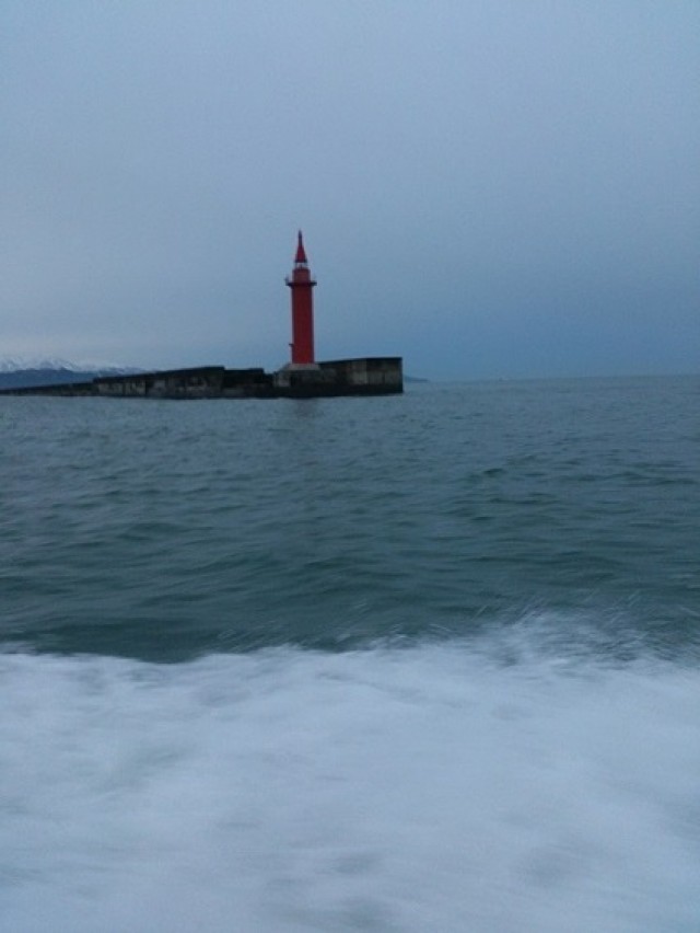 プロショップオオツカ ソルトウォーター部門 ネット通信販売 ブログ写真 2013/12/19