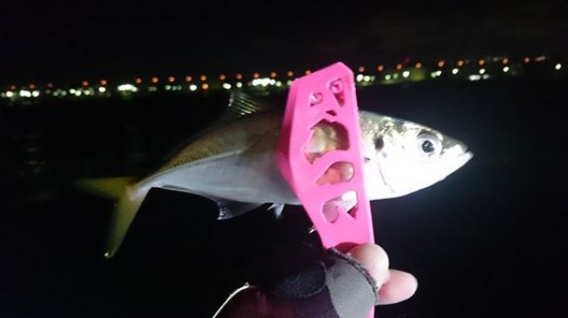 プロショップオオツカ ソルトウォーター部門 ネット通信販売 ブログ写真 2014/12/14