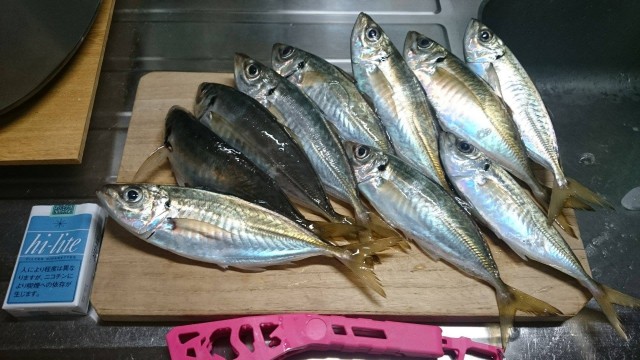 プロショップオオツカ ソルトウォーター部門 ネット通信販売 ブログ写真 2014/12/14