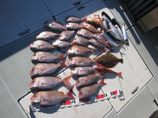 プロショップオオツカ ソルトウォーター部門 ネット通信販売 ブログ写真 2016/01/28