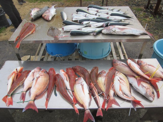 プロショップオオツカ ソルトウォーター部門 ネット通信販売 ブログ写真 2017/03/08