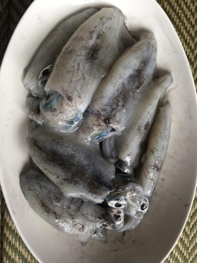 プロショップオオツカ ソルトウォーター部門 ネット通信販売 ブログ写真 2018/09/17