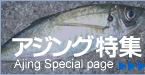 アジング特集
