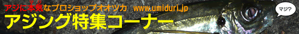最先端のスモールゲーム「アジング」特集ページ