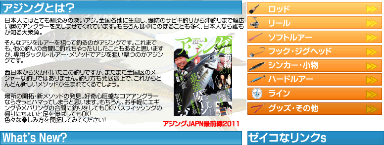 アジングとは？