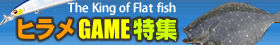 ヒラメ特集