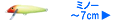 ミノー7cm未満