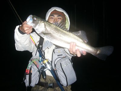 プロショップオオツカ ソルトウォーター部門 ブログ写真 2009/11/07