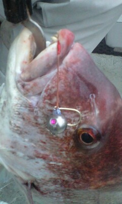 プロショップオオツカ ソルトウォーター部門 ブログ写真 2009/11/20